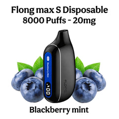 Flong max S 8000 Puffs Blackberry Mint